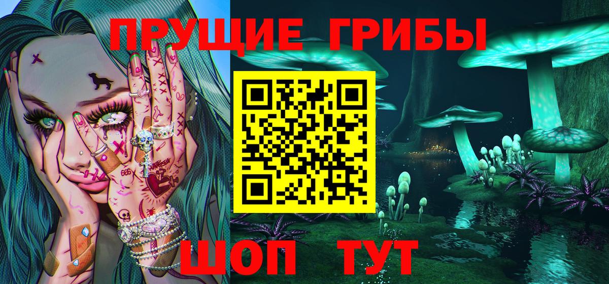 Псилоцибиновые грибы прущие грибы  Галлюциногенные грибы прущие грибы  Топки  Вход с VPN 