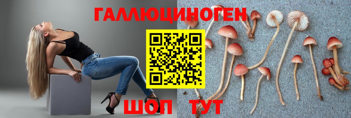 Галлюциногенные грибы мухоморы Топки